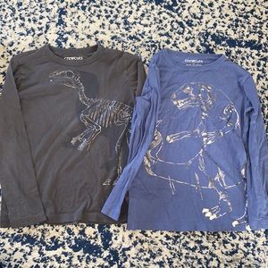 Two Crewcuts 6/7 dinosaur silver shiny long sleeve EUC
